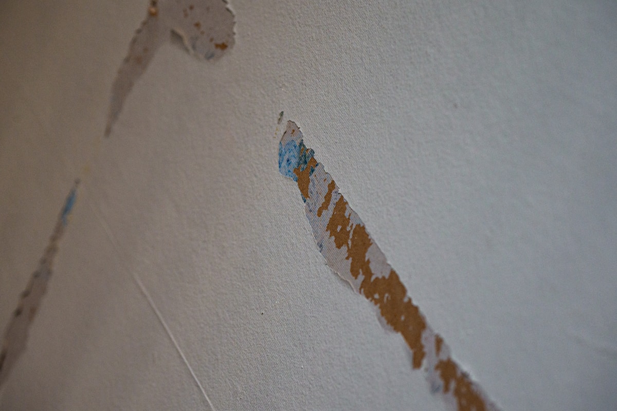 Commercial Water Damage service in Miami Beach, FL